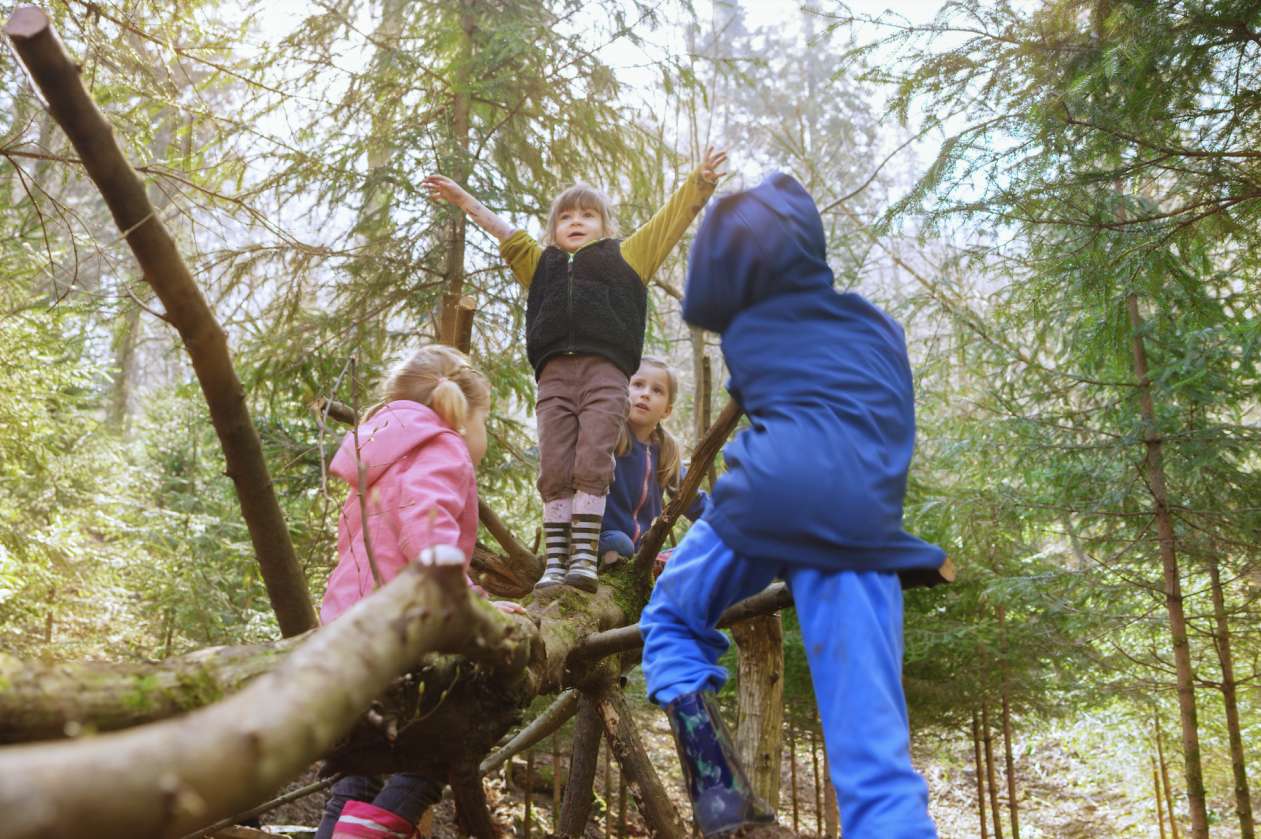 A group of kids climbs a fallen tree at an outdoor kindergarten.