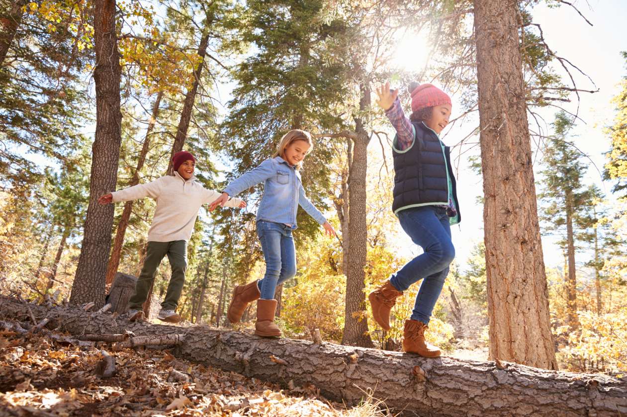 Three elementary-age children walk across a fallen tree on a sunny fall day.