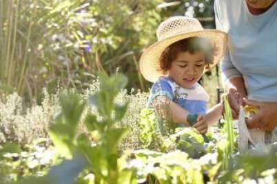 Why gardening is a great activity for kids