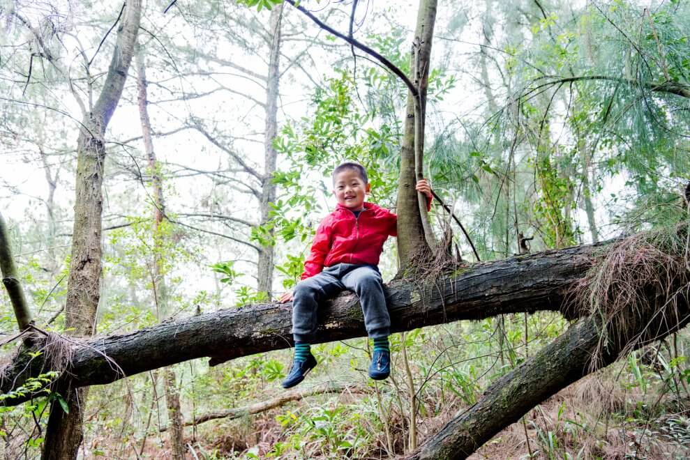 A boy sits on a thick tree branch in the forest, smiling.