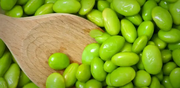 Edamame Salad Active For Life