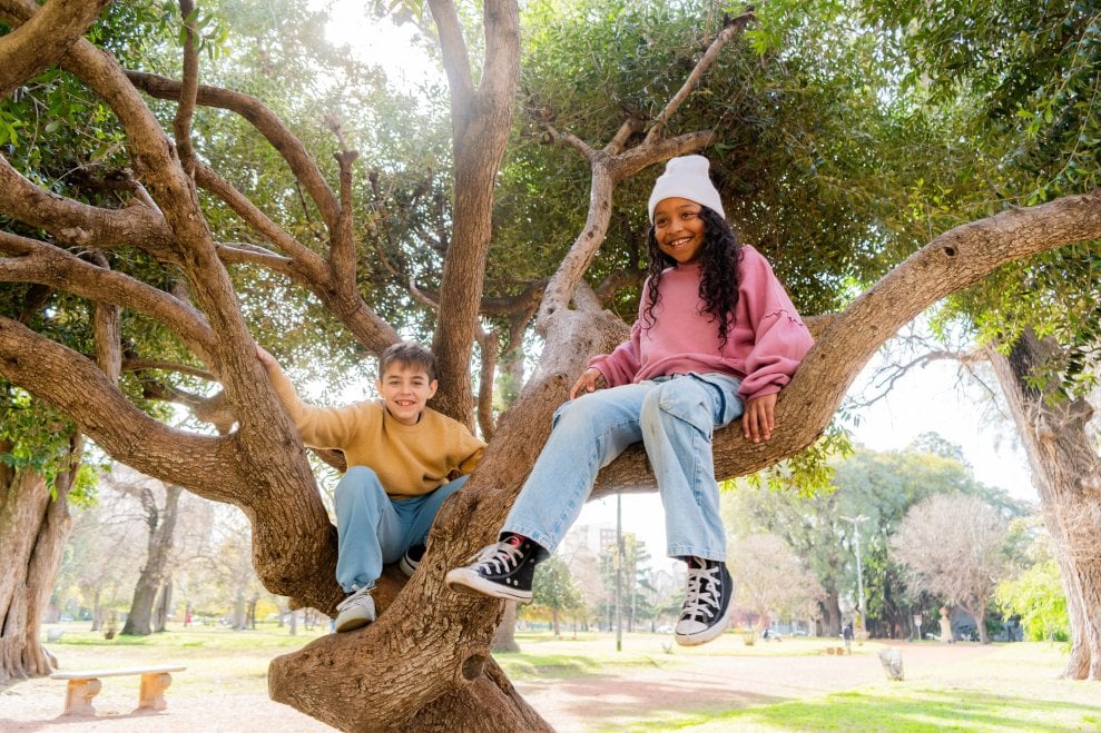 Two friends sit in the branches of a tree. 
