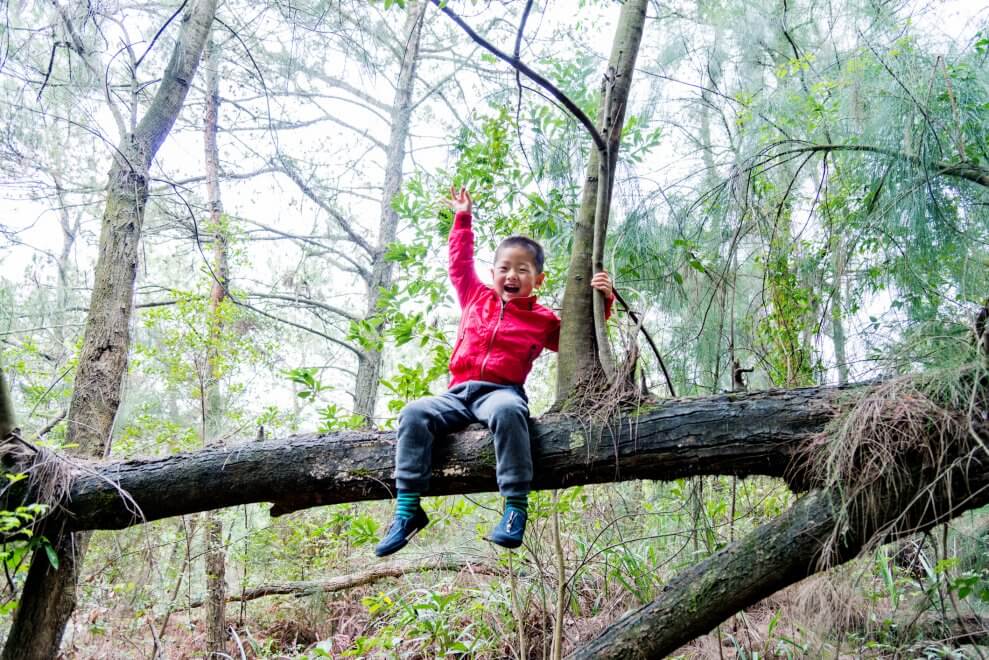 A young boy sits on a thick branch of a tree, smiling.