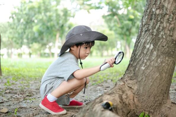 A boy crouches on the ground, using a magnifying glass to look at tree bark.