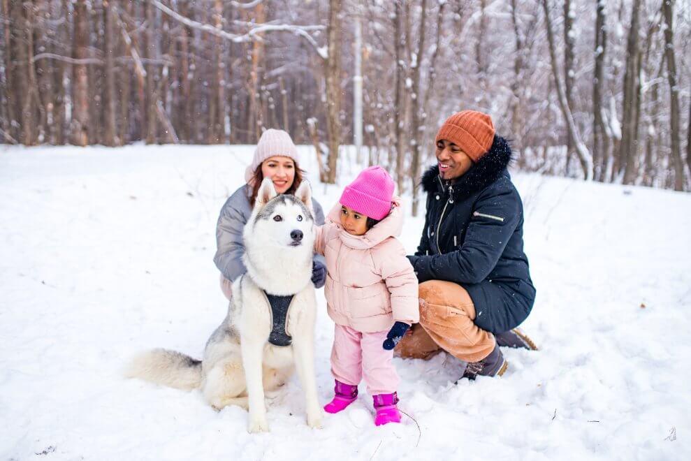 A mom, dad, and their toddler play outside in the snow with their husky.