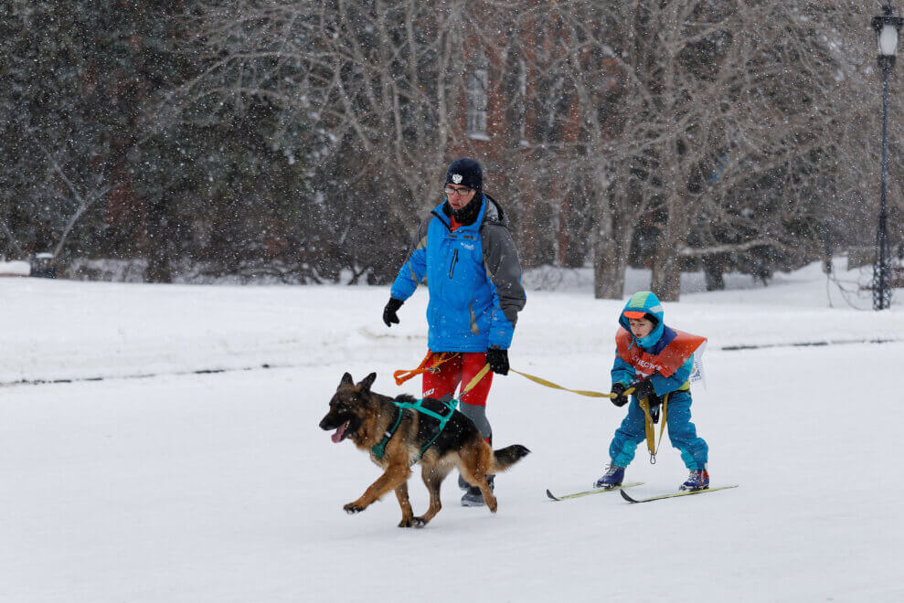 Child skijoring with a dog while his father walks alongside