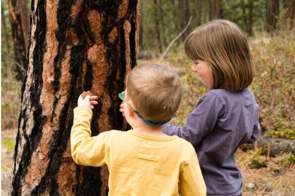 Two siblings stand in front a tree, feeling its bark