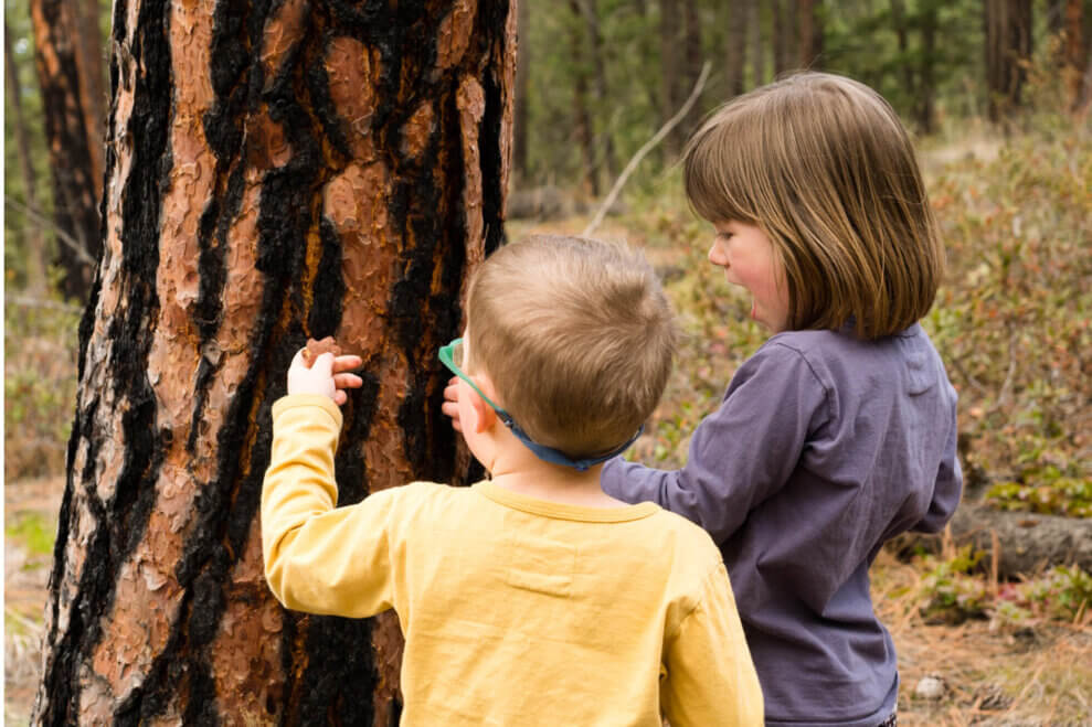 Two siblings stand in front a tree, feeling its bark.