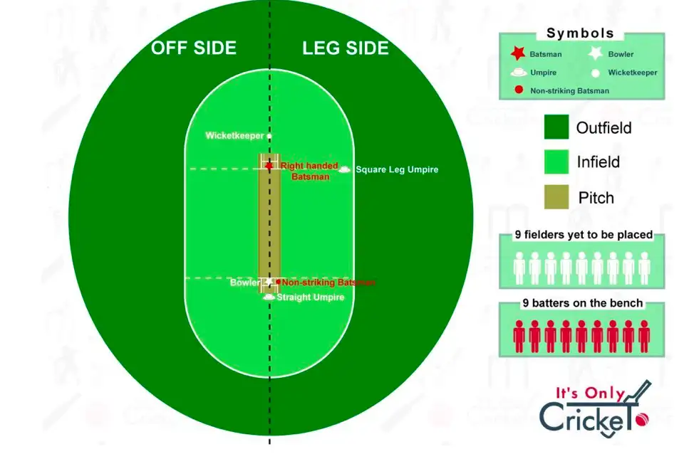 Diagram of cricket pitch
