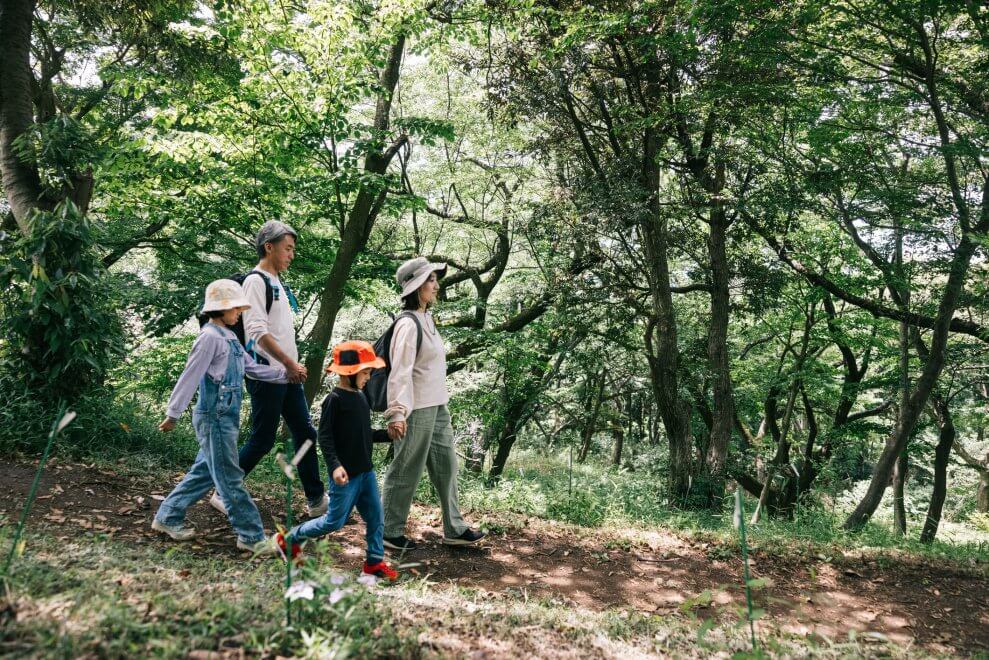A family walks through the forest together. Forest bathing is a camping activity you can try with kids.