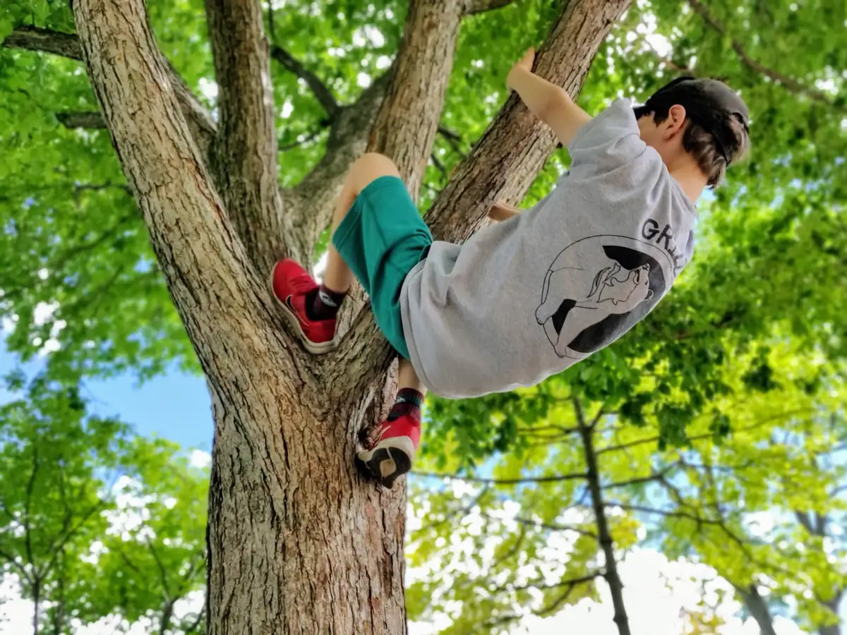 How to Climb a Tree With No Branches - PostureInfoHub