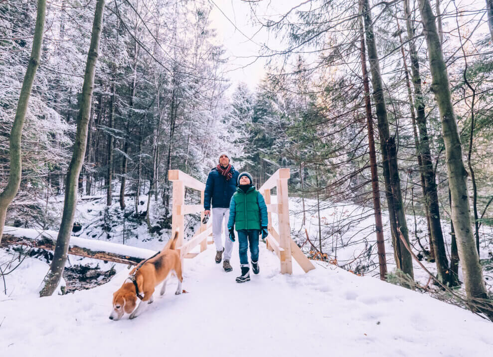 A father and his son walk in the snowy woods, with their dog on a leash.