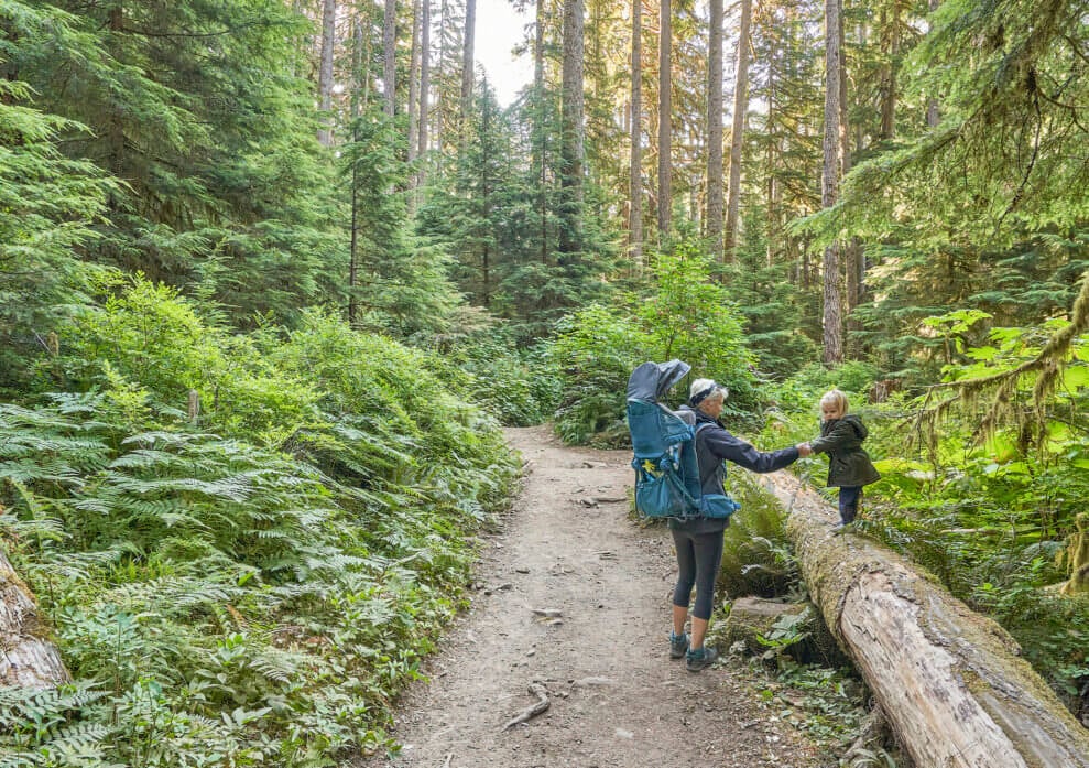 A mother helps her toddler balance on a log during a hike in the woods.