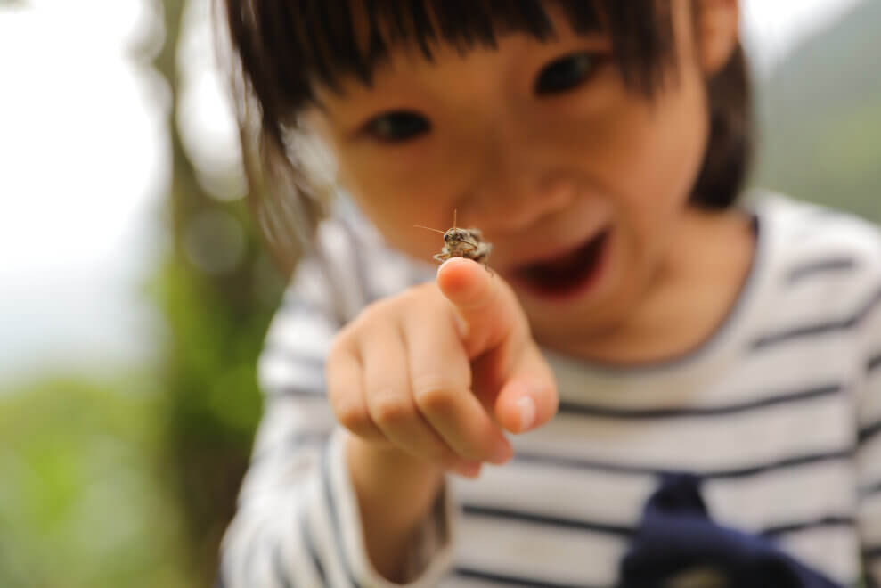 A grasshopper sits on a little girl's outstretched finger. She looks surprised and delighted.