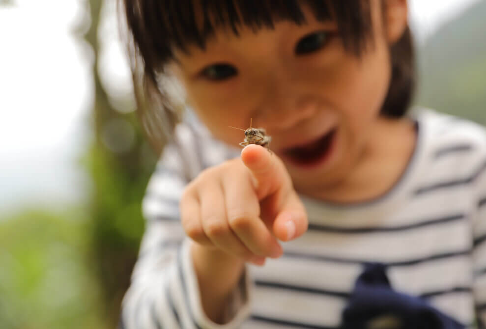 A grasshopper sits on a little girl's outstretched finger. She looks surprised and delighted.