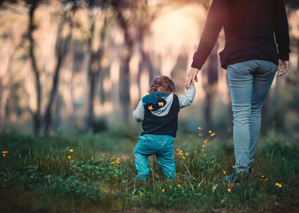 A parent holds their toddler's hand as they walk through a grassy meadow in a forest.