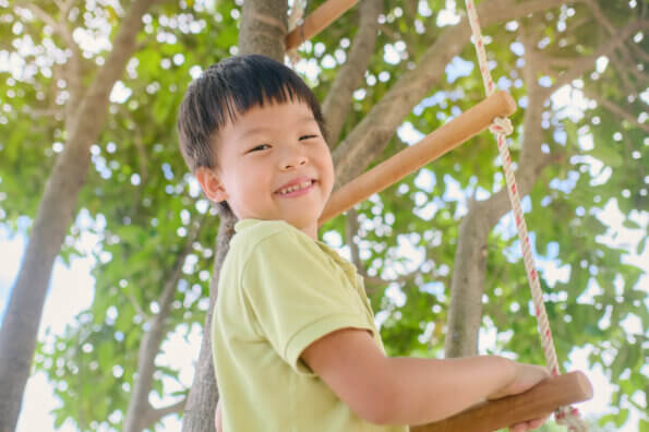 A boy climbs up a rope ladder into a tree in his backyard. He smiles at the camera.