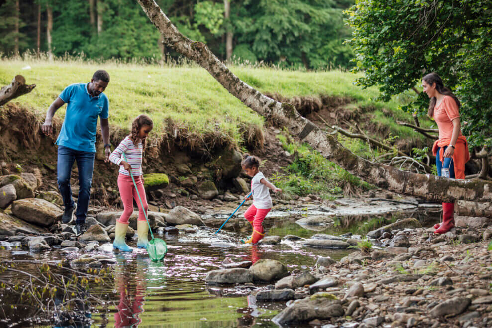 A mother, father, and their two daughters wade through a creek in the forest. The two girls carry small fishing nets.