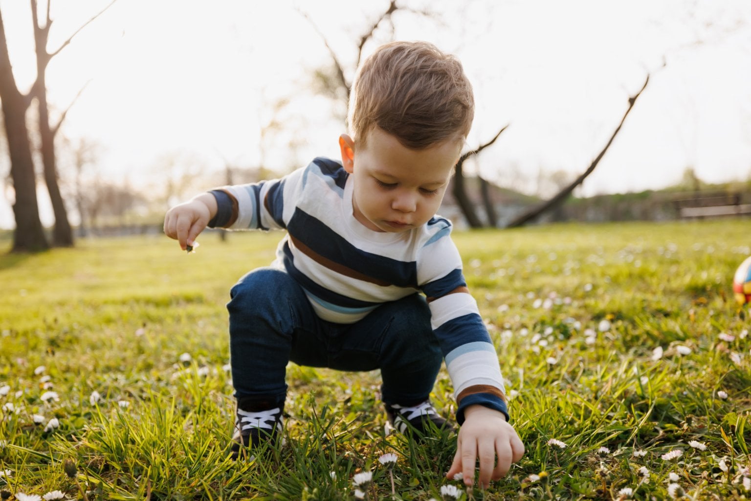 Physical development 101: A guide to gross and fine motor skills in ...