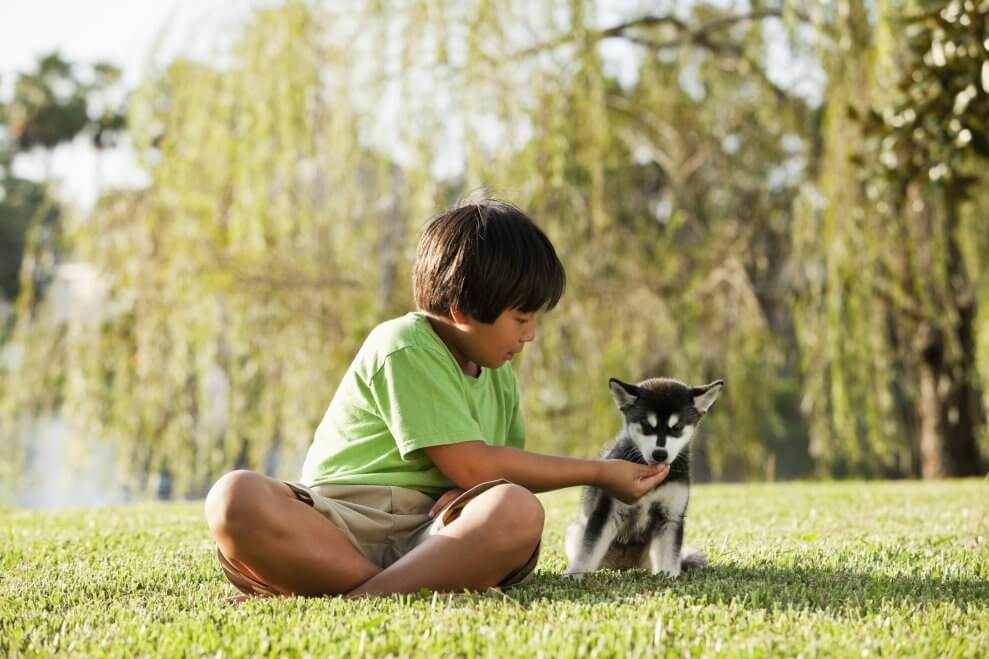 A boy sits on the grass with his puppy and feeds it a treat.
