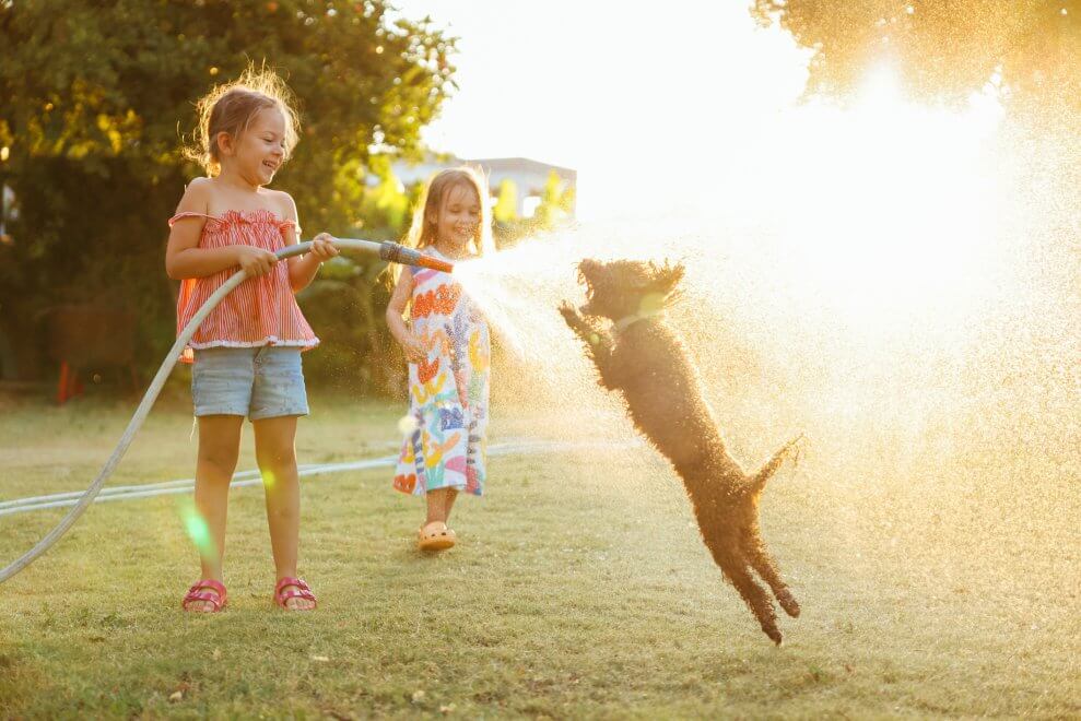 Two sisters spray a hose outside while their dog leaps up to try to catch the water in its mouth.