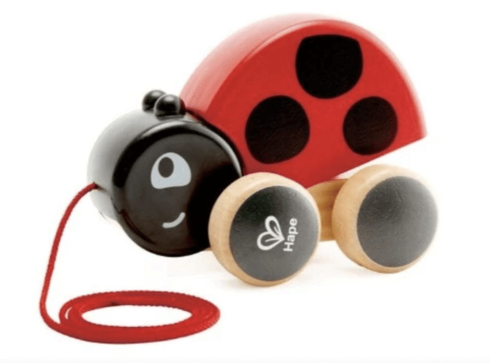 Hape Ladybug Pull-Along