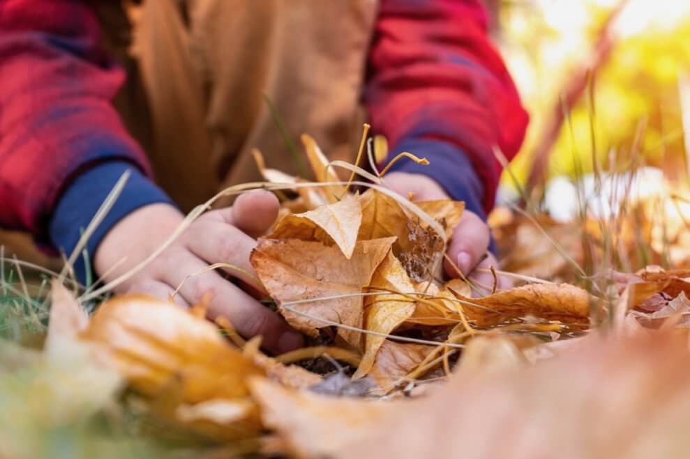 A child gathers leaves in their yard to make nature art. 