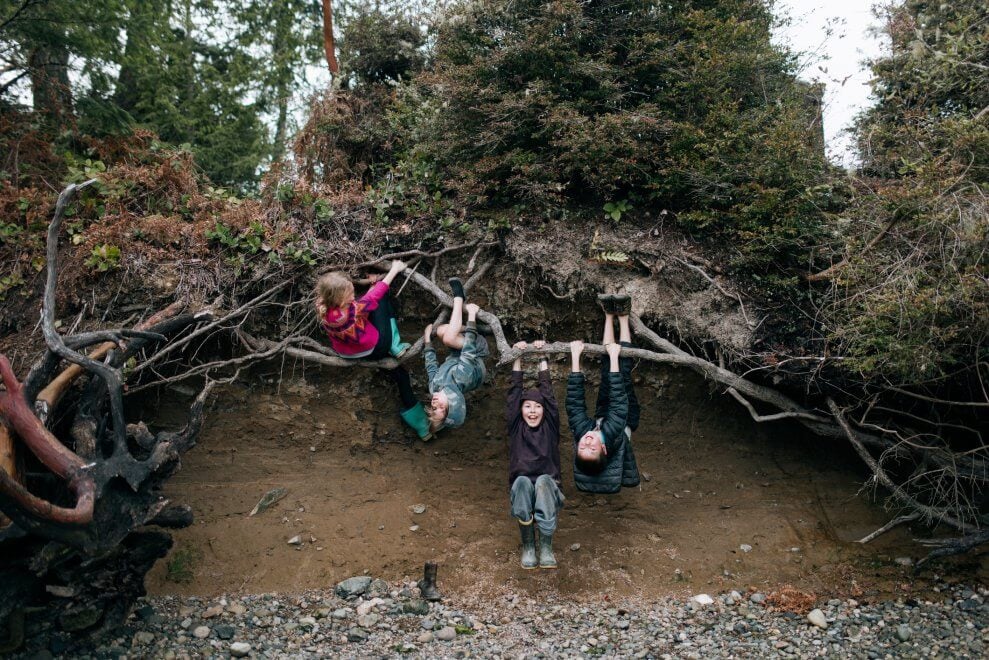 A group of kids play and climb on tree routes and branches on the edge of a forest.