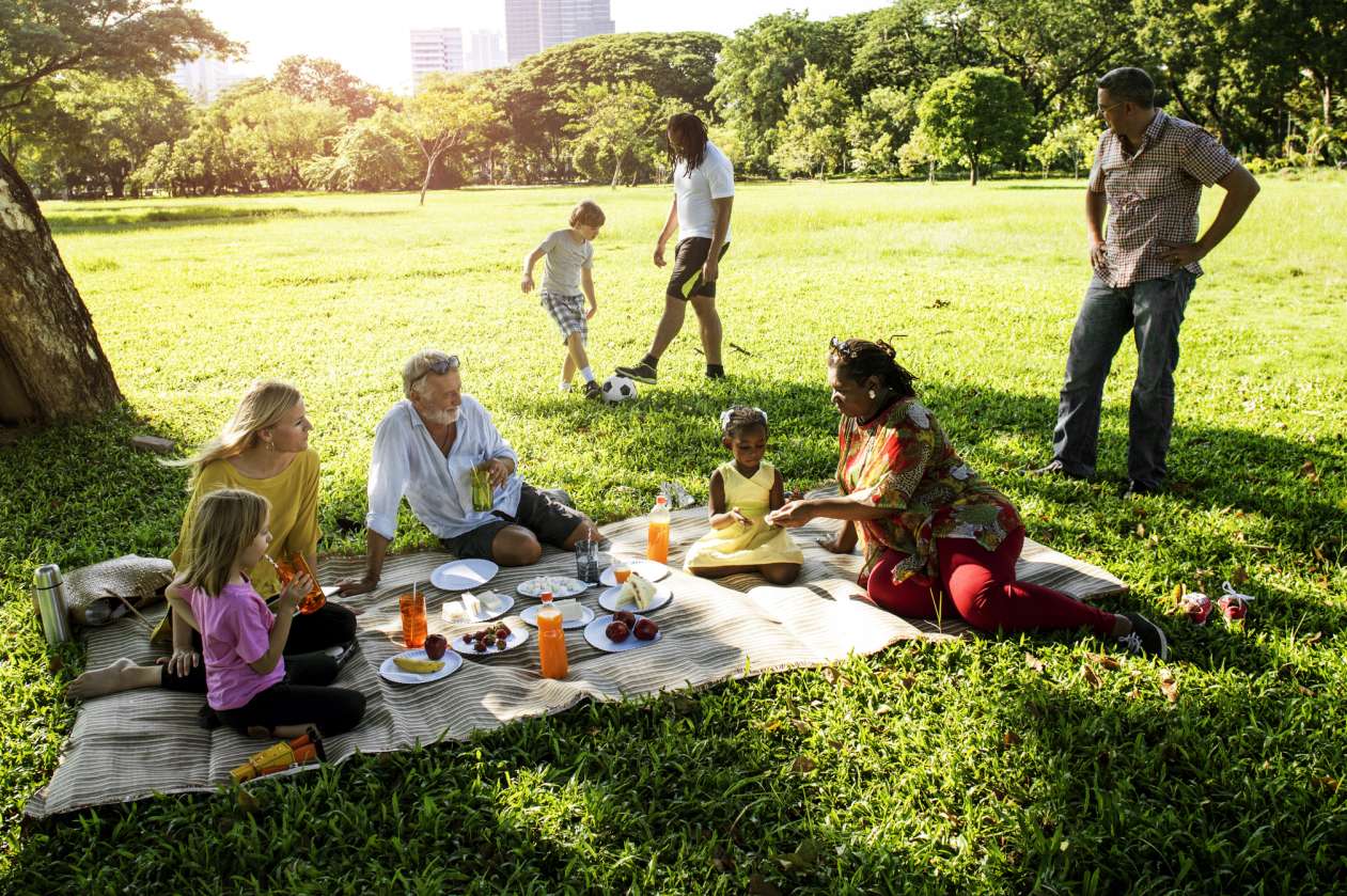 Family picnics in a grassy park while one boy and his dad kick a soccer ball around