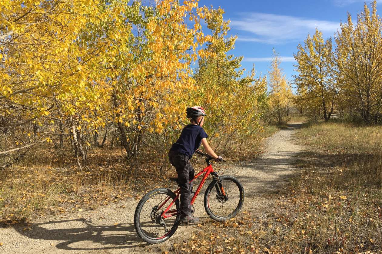10 ways to make family cycling more fun this fall