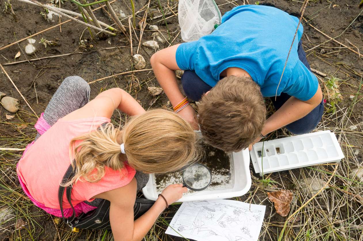 Why nature play is so good for kids, especially now