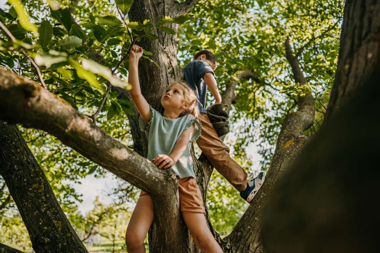 20 activités pour éveiller les sens de vos jeunes enfants – Active For Life, image size:1261x839