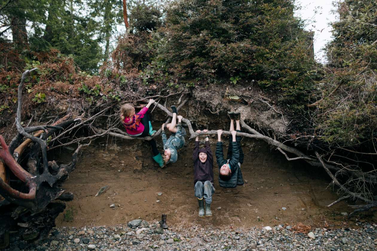 A group of kids play and climb on tree routes and branches on the edge of a forest.