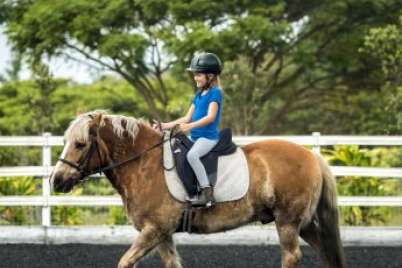 Got a horse-crazy kid? Here’s what you need to know before saddling up