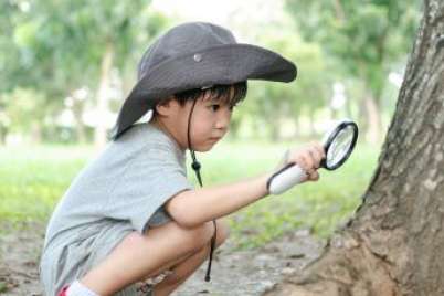 20+ nature activities for kids