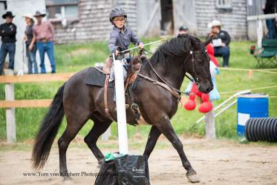 Four obscure (but awesome) equestrian sports
