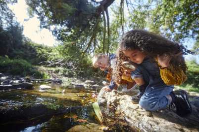 Ouvrir la voie à la découverte de la nature : l’école en plein air change la donne pour votre enfant