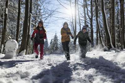 Rewilding childhood: How to make play more fun for kids