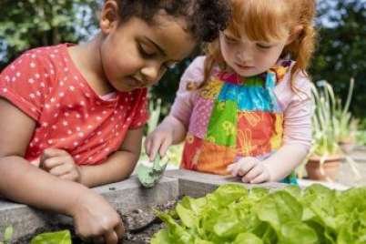 How to incorporate Indigenous perspectives in early childhood education